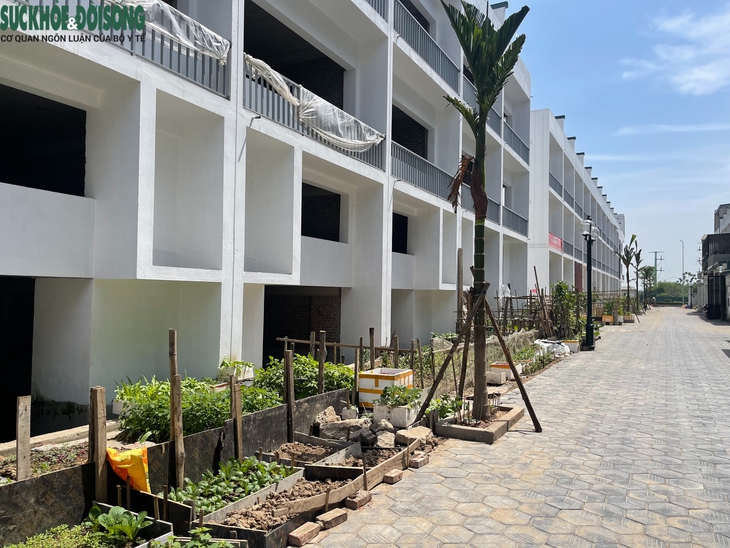 Hà Nội: Loạt biệt thự triệu đô tại KĐT Phú Lương chưa có người ở- Ảnh 9.