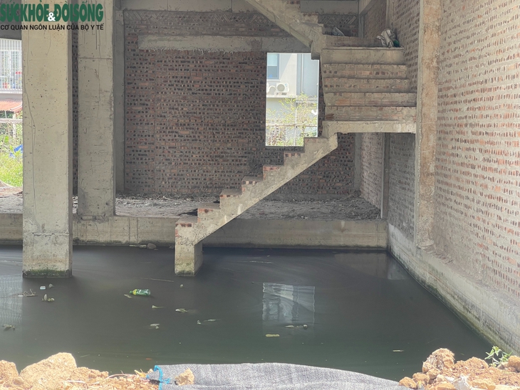 Hà Nội: Loạt biệt thự triệu đô tại KĐT Phú Lương chưa có người ở- Ảnh 10.