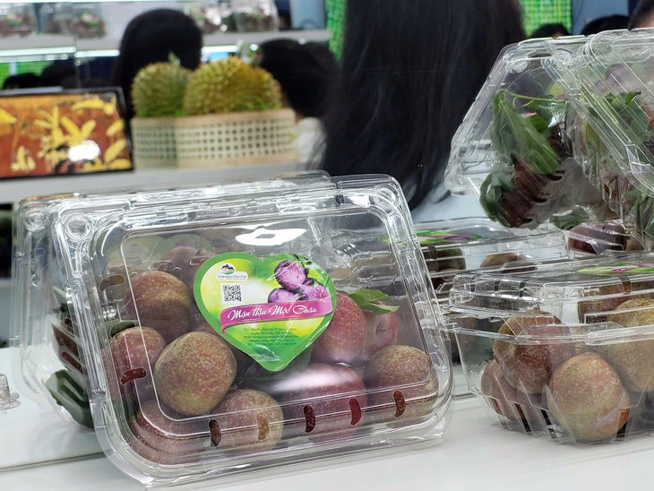 Đại diện Cục Quản lý và Phát triển thị trường trong nước chỉ cách nhận diện trái cây Việt chuẩn- Ảnh 4. Đại diện Cục Quản lý và Phát triển thị trường trong nước chỉ cách nhận diện trái cây Việt chuẩn- Ảnh 4.