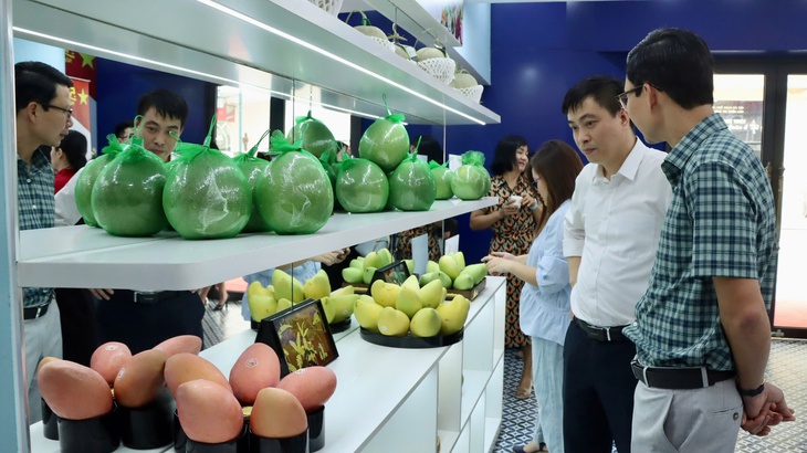 Đại diện Cục Quản lý và Phát triển thị trường trong nước chỉ cách nhận diện trái cây Việt chuẩn- Ảnh 1. Đại diện Cục Quản lý và Phát triển thị trường trong nước chỉ cách nhận diện trái cây Việt chuẩn- Ảnh 1.