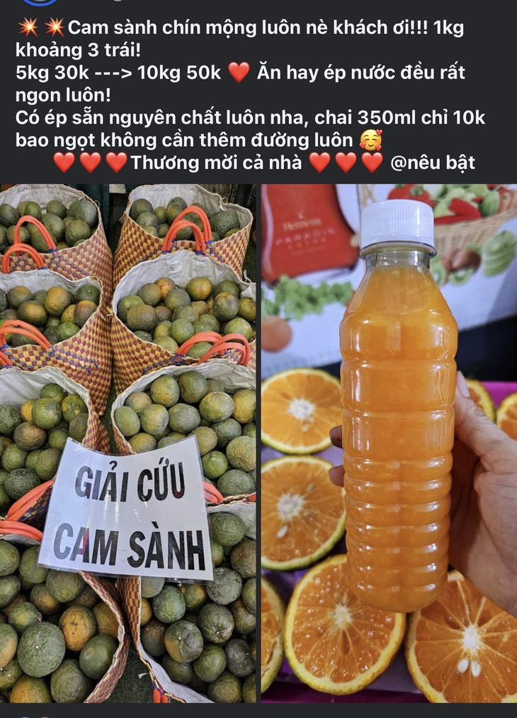 Loại quả giúp tăng đề kháng bán đầy chợ Việt giá chỉ còn hơn chục nghìn đồng/kg- Ảnh 1.