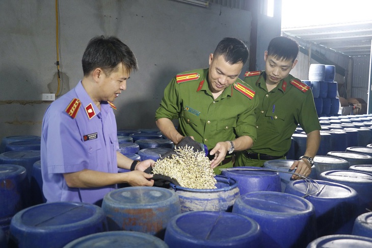 Thủ đoạn tinh vi sản xuất và tuồn 3.500 tấn giá đỗ ngâm hóa chất ra thị trường- Ảnh 3.