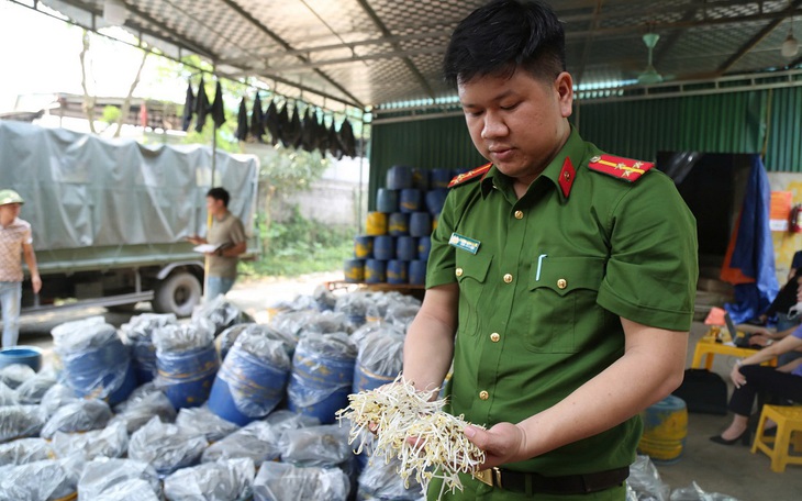 Thủ đoạn tinh vi sản xuất và tuồn 3.500 tấn giá đỗ ngâm hóa chất ra thị trường
