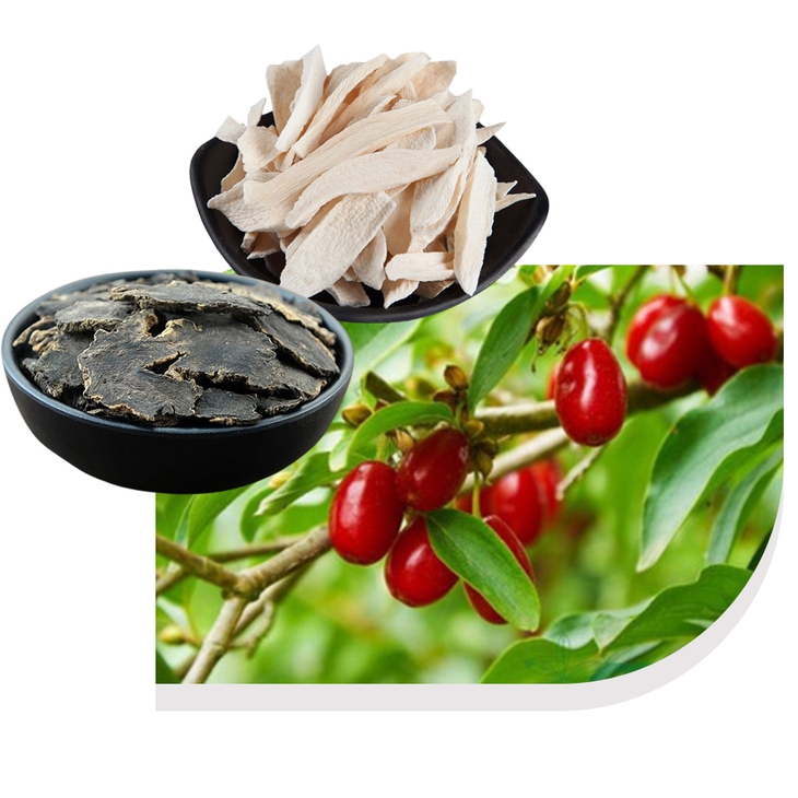 Mách bạn thảo dược hỗ trợ người bị táo bón lâu ngày- Ảnh 1.