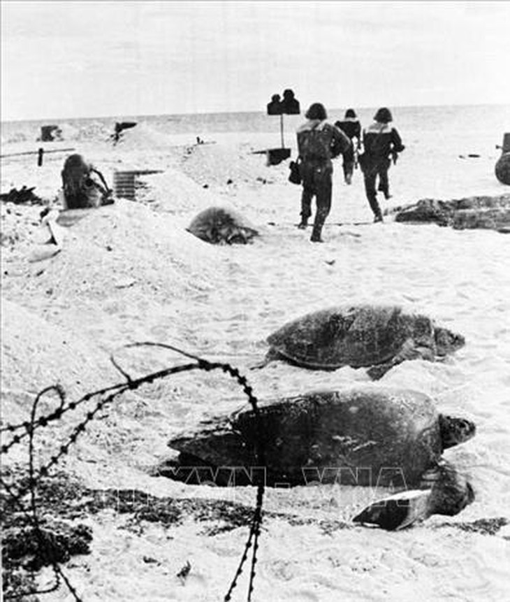 Ngày 25/4/1975: Giải phóng đảo Sơn Ca thuộc quần đảo Trường Sa- Ảnh 1.