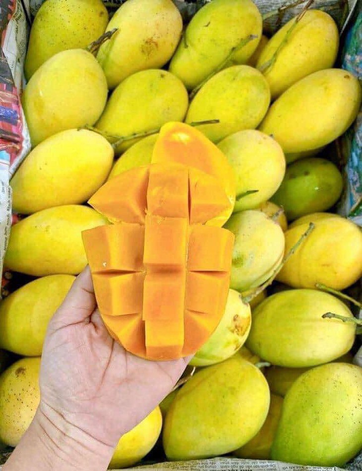 Xoài vào mùa giảm giá sâu, bán tràn ngập thị trường chỉ hơn chục nghìn đồng/kg- Ảnh 10. Xoài vào mùa giảm giá sâu, bán tràn ngập thị trường chỉ hơn chục nghìn đồng/kg- Ảnh 10.