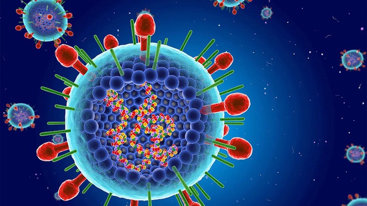 Virus hợp bào hô hấp (RSV) là gì? Chúng nguy hiểm thế nào?