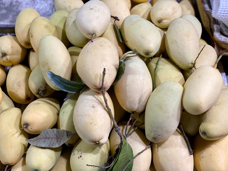 Xoài vào mùa giảm giá sâu, bán tràn ngập thị trường chỉ hơn chục nghìn đồng/kg- Ảnh 2. Xoài vào mùa giảm giá sâu, bán tràn ngập thị trường chỉ hơn chục nghìn đồng/kg- Ảnh 2.