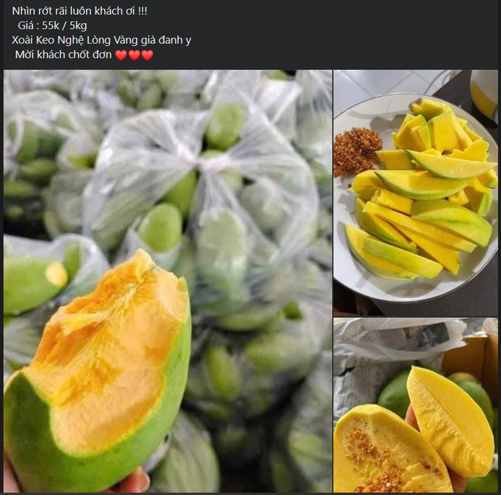 Xoài vào mùa giảm giá sâu, bán tràn ngập thị trường chỉ hơn chục nghìn đồng/kg- Ảnh 5. Xoài vào mùa giảm giá sâu, bán tràn ngập thị trường chỉ hơn chục nghìn đồng/kg- Ảnh 5.