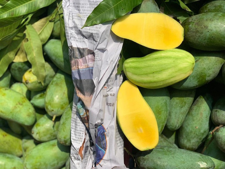 Xoài vào mùa giảm giá sâu, bán tràn ngập thị trường chỉ hơn chục nghìn đồng/kg- Ảnh 7. Xoài vào mùa giảm giá sâu, bán tràn ngập thị trường chỉ hơn chục nghìn đồng/kg- Ảnh 7.