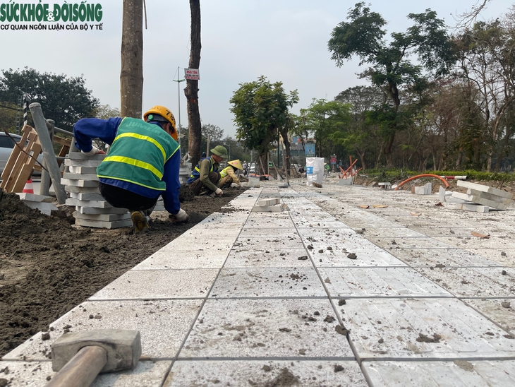 Những người âm thầm kiến tạo vẻ đẹp cho Thủ đô- Ảnh 6.