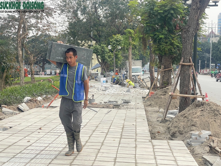 Những người âm thầm kiến tạo vẻ đẹp cho Thủ đô- Ảnh 8.