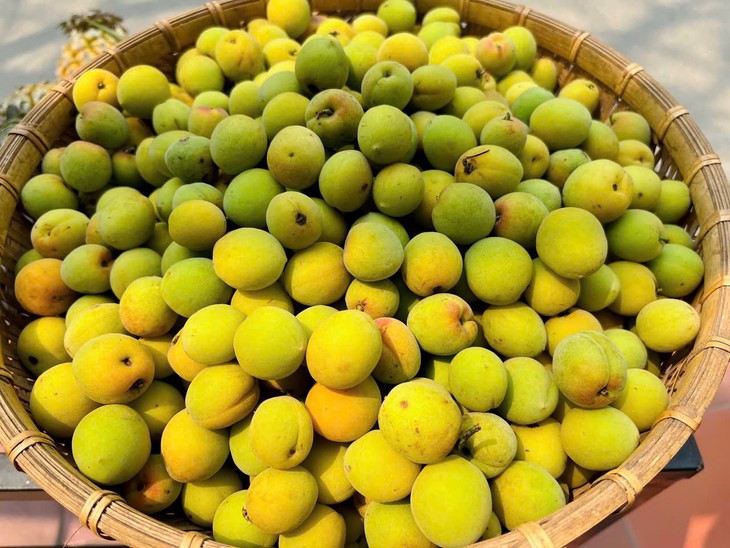 Loại quả vừa thơm vừa bổ vào mùa bán đầy chợ với giá rẻ bèo- Ảnh 1.