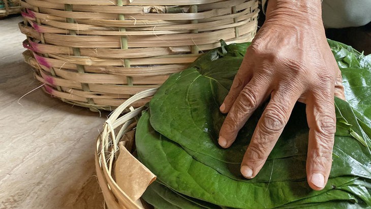 Xông lá trầu không chữa đau mắt đỏ coi chừng hỏng mắt- Ảnh 1.