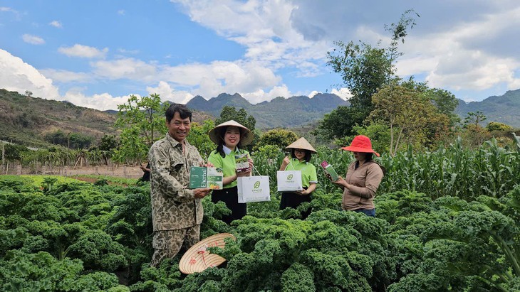 eHerbal và 'hành trình xanh' tại Mộc Châu: Từ dược liệu sạch đến sinh kế bền vững- Ảnh 3.