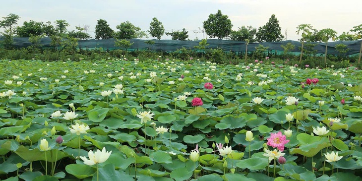 Khoa học công nghệ là bàn đạp để Việt Nam vững bước tiến vào kỷ nguyên mới- Ảnh 5. Khoa học công nghệ là bàn đạp để Việt Nam vững bước tiến vào kỷ nguyên mới- Ảnh 5.