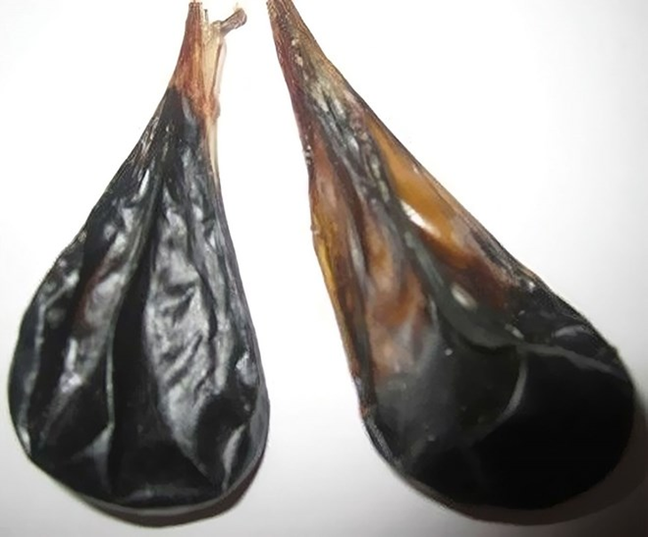 Phụ nữ sau sinh có nên uống mật heo?- Ảnh 1. Phụ nữ sau sinh có nên uống mật heo?- Ảnh 1.