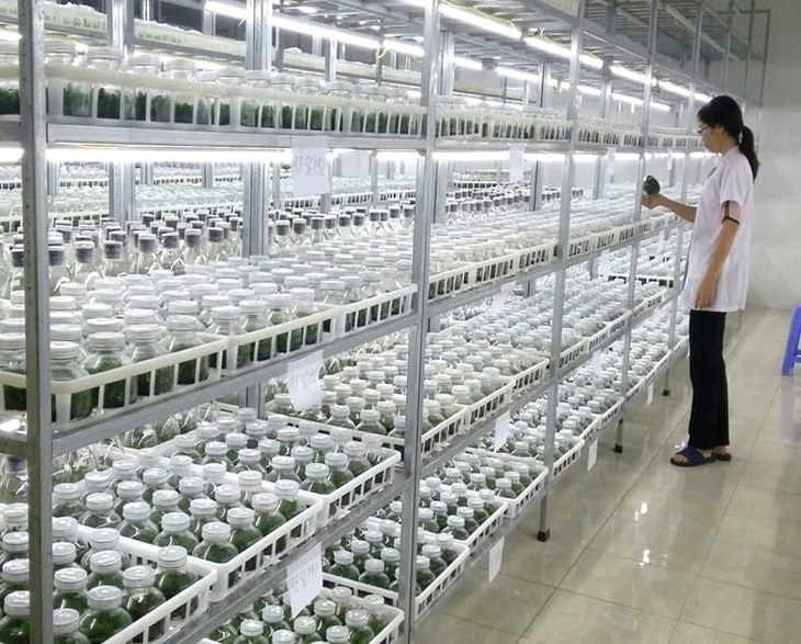 Khoa học công nghệ là bàn đạp để Việt Nam vững bước tiến vào kỷ nguyên mới- Ảnh 3. Khoa học công nghệ là bàn đạp để Việt Nam vững bước tiến vào kỷ nguyên mới- Ảnh 3.