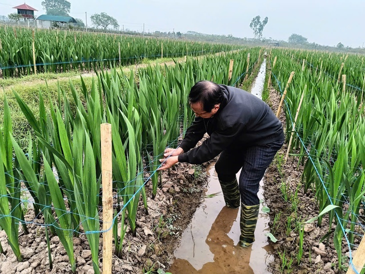 Khoa học công nghệ là bàn đạp để Việt Nam vững bước tiến vào kỷ nguyên mới- Ảnh 4. Khoa học công nghệ là bàn đạp để Việt Nam vững bước tiến vào kỷ nguyên mới- Ảnh 4.