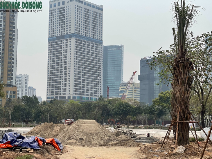 Hiện trạng Công viên Cầu Giấy sau 2 tháng cải tạo- Ảnh 2.