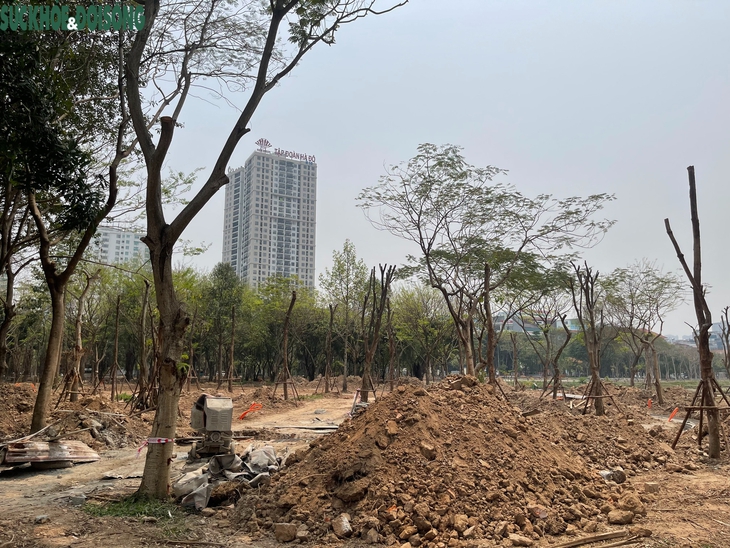 Hiện trạng Công viên Cầu Giấy sau 2 tháng cải tạo- Ảnh 9.
