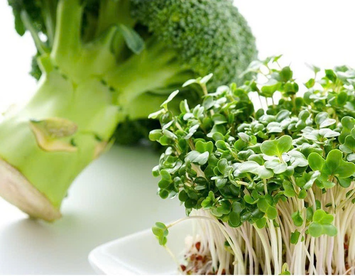 Ăn bông cải xanh có phòng được bệnh đái tháo đường không?- Ảnh 3. Ăn bông cải xanh có phòng được bệnh đái tháo đường không?- Ảnh 3.