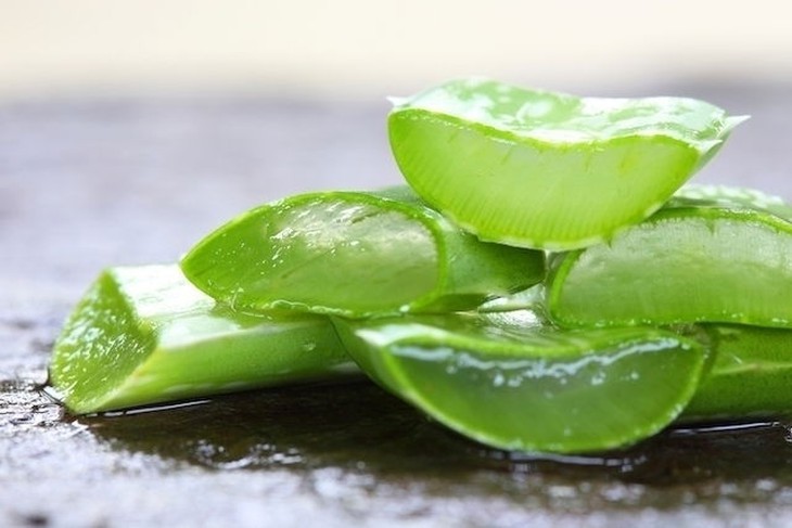 Hình ảnh minh họa số 1