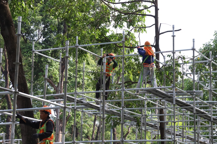 TPHCM tăng tốc chuẩn bị cho Đại lễ kỷ niệm 50 năm Ngày Giải phóng miền Nam, thống nhất đất nước- Ảnh 6. TPHCM tăng tốc chuẩn bị cho Đại lễ kỷ niệm 50 năm Ngày Giải phóng miền Nam, thống nhất đất nước- Ảnh 6.
