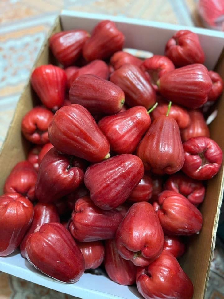 Loại quả Việt quen thuộc đang vào vụ ngọt nhất trong năm bán đầy chợ giá vài chục nghìn đồng/kg- Ảnh 1.