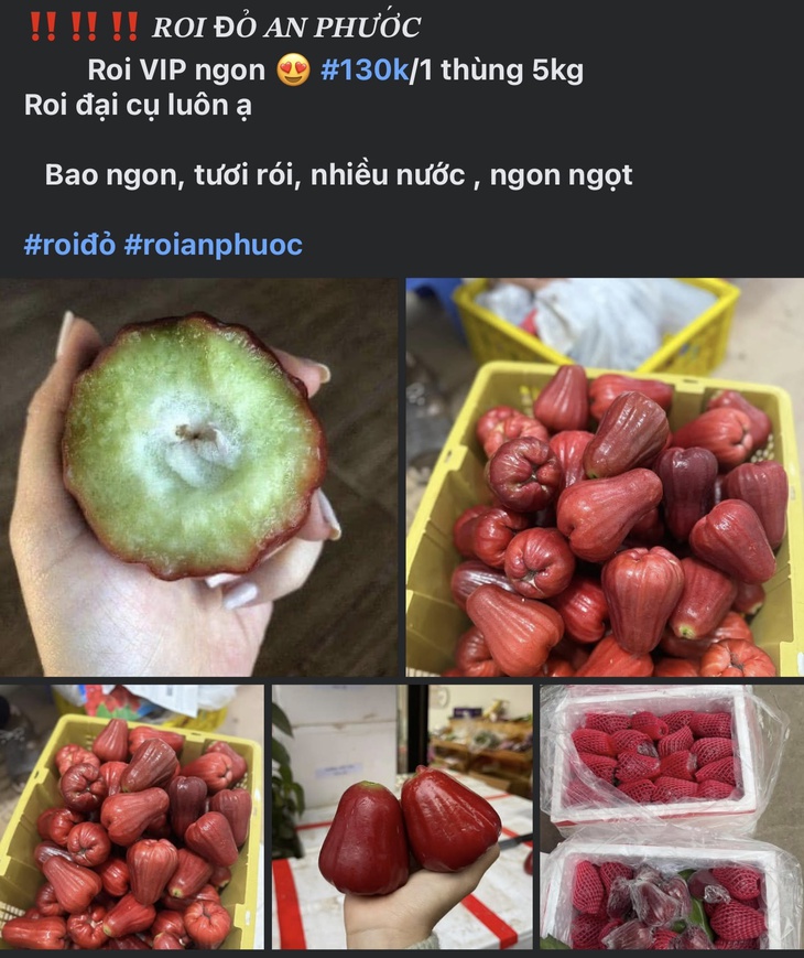 Loại quả Việt quen thuộc đang vào vụ ngọt nhất trong năm bán đầy chợ giá vài chục nghìn đồng/kg- Ảnh 4.