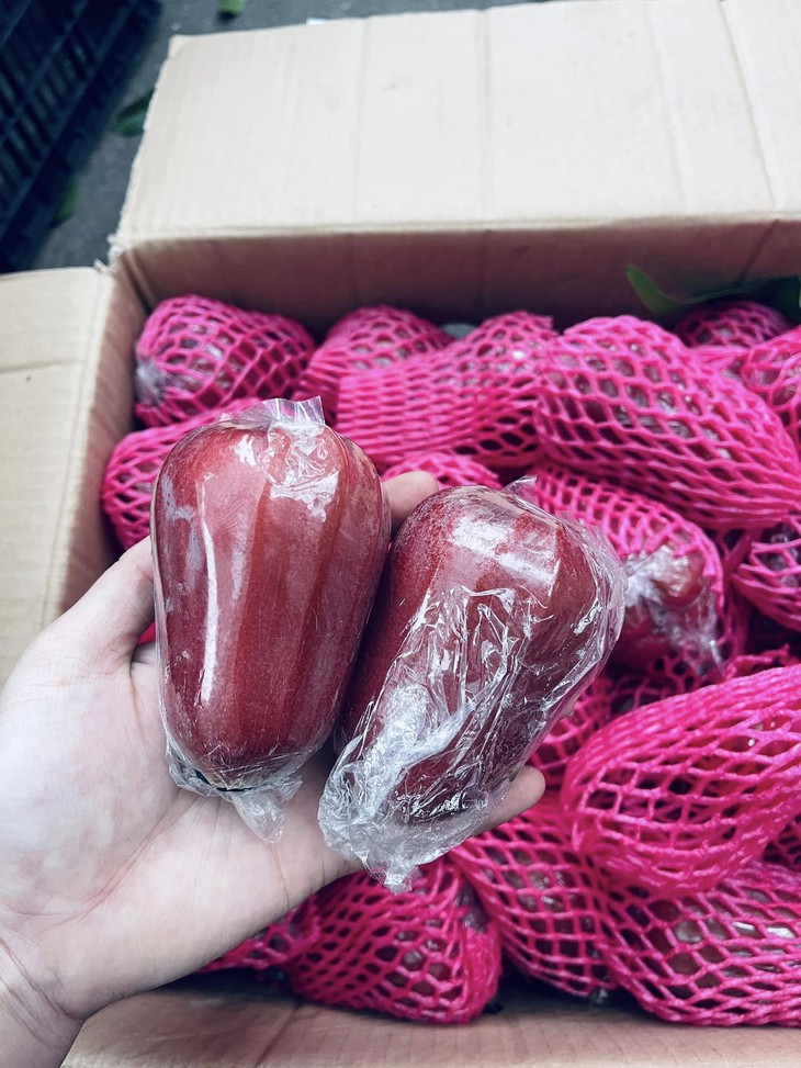 Loại quả Việt quen thuộc đang vào vụ ngọt nhất trong năm bán đầy chợ giá vài chục nghìn đồng/kg- Ảnh 8.