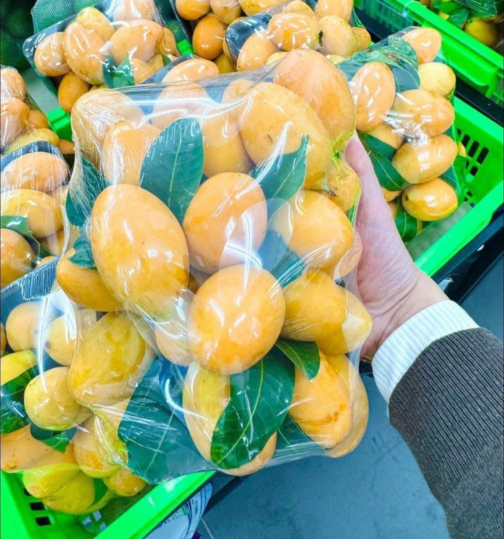 Thanh trà vào mùa bán đầy chợ Việt giá vài chục nghìn đồng/kg- Ảnh 9. Thanh trà vào mùa bán đầy chợ Việt giá vài chục nghìn đồng/kg- Ảnh 9.