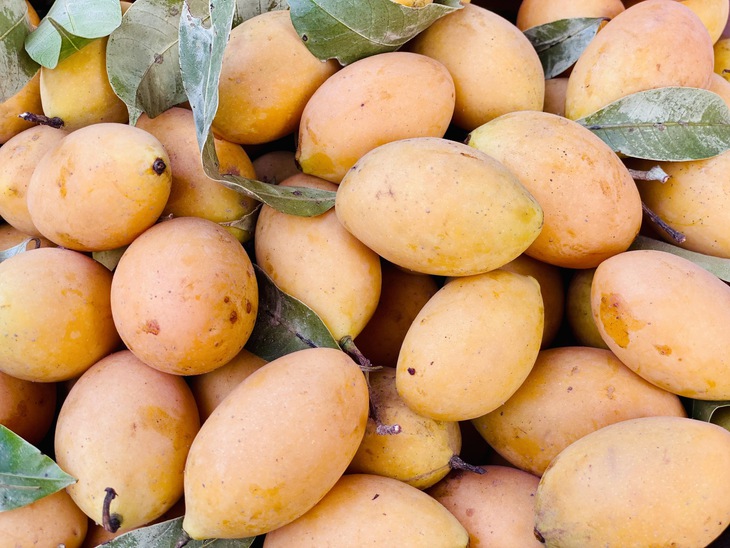Thanh trà vào mùa bán đầy chợ Việt giá vài chục nghìn đồng/kg- Ảnh 1. Thanh trà vào mùa bán đầy chợ Việt giá vài chục nghìn đồng/kg- Ảnh 1.