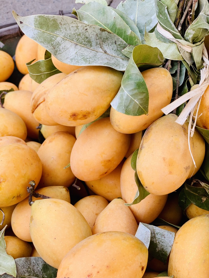 Thanh trà vào mùa bán đầy chợ Việt giá vài chục nghìn đồng/kg- Ảnh 2. Thanh trà vào mùa bán đầy chợ Việt giá vài chục nghìn đồng/kg- Ảnh 2.