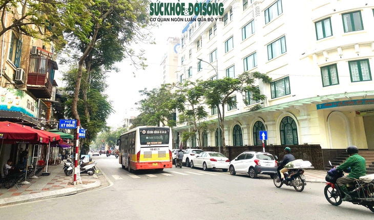 Hải Phòng lùi thời gian cấm đỗ ô tô trên các tuyến đường- Ảnh 1.