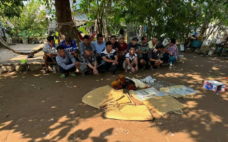 Bắt quả tang 15 đối tượng đang đá gà ăn tiền