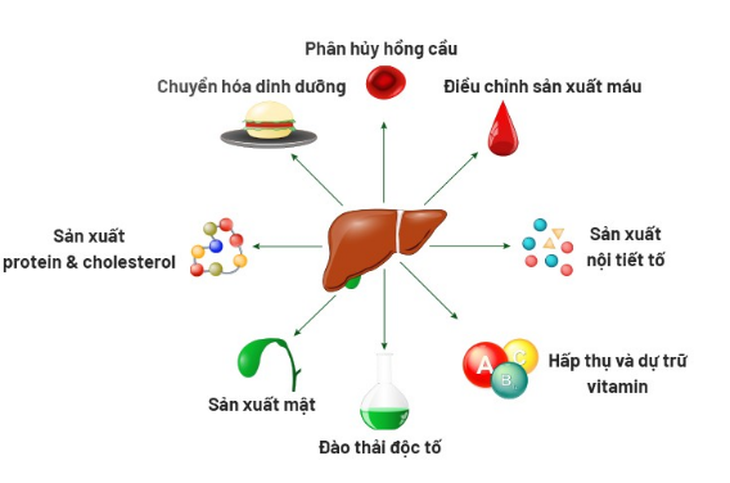 6 cách đơn giản để thải độc gan- Ảnh 1.