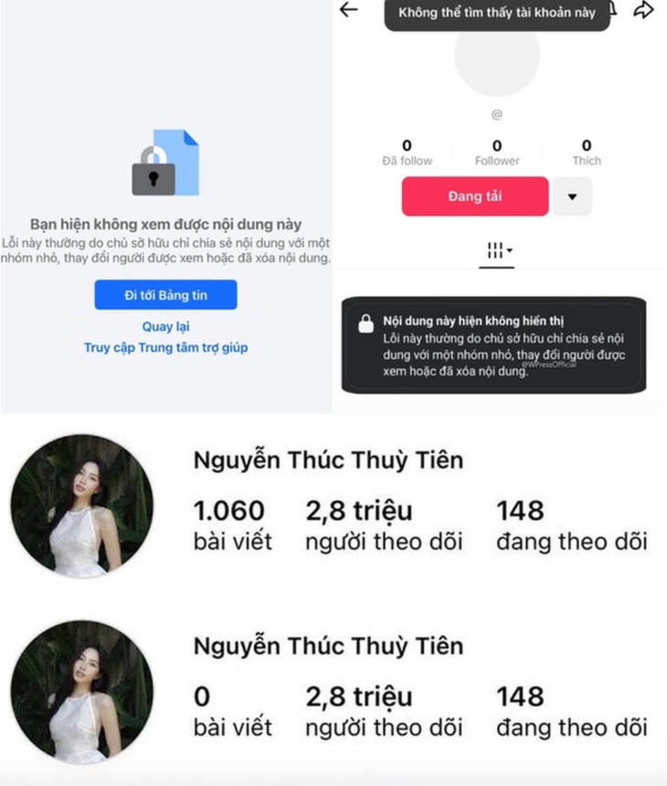 Thương hiệu Dior xóa bỏ hình ảnh và tên Hoa hậu Thùy Tiên- Ảnh 3.