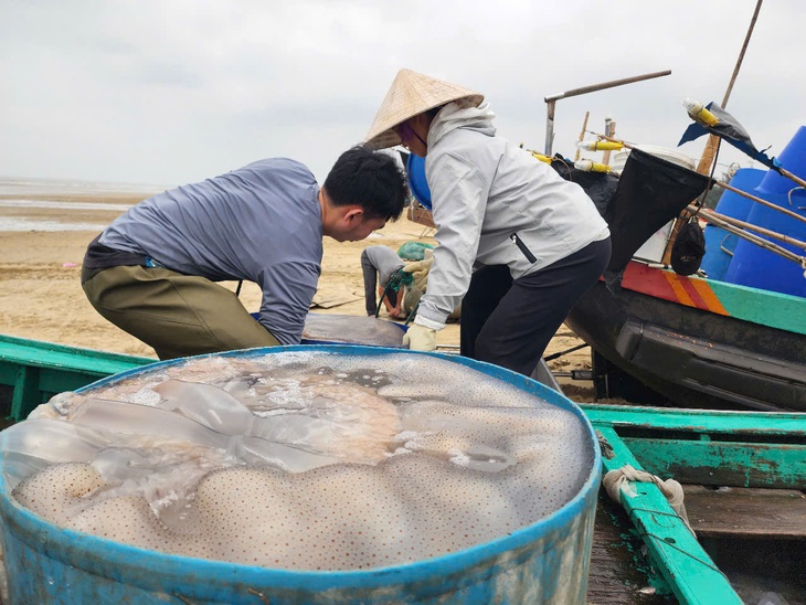 Ngư dân Hà Tĩnh kiếm tiền triệu từ loài nhuyễn thể, không xương- Ảnh 4.