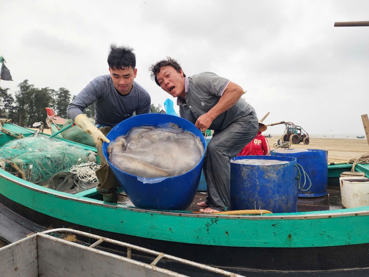 Ngư dân Hà Tĩnh kiếm tiền triệu từ loài nhuyễn thể, không xương- Ảnh 5.