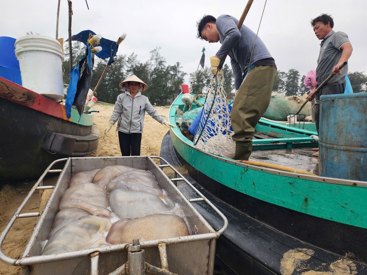 Ngư dân Hà Tĩnh kiếm tiền triệu từ loài nhuyễn thể, không xương- Ảnh 10.