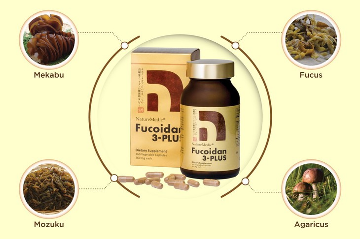 Fucoidan kết hợp nhiều tảo nâu mang đến hiệu quả tốt hơn?- Ảnh 1.