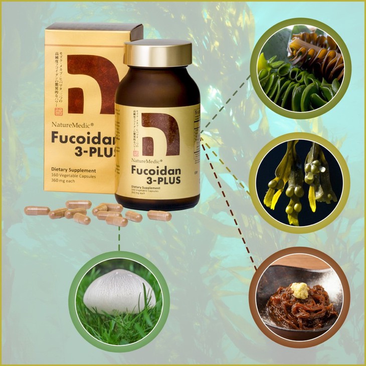 Fucoidan kết hợp nhiều tảo nâu mang đến hiệu quả tốt hơn?- Ảnh 3.