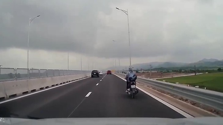 Đàn trâu nhởn nhơ đi lại trên cao tốc qua Hà Tĩnh- Ảnh 2.