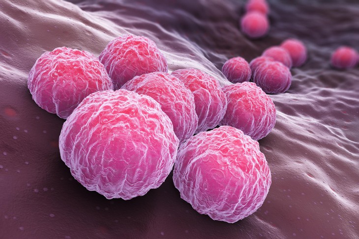 Chlamydia - Cảnh báo bệnh lây truyền qua đường tình dục phổ biến ở giới trẻ- Ảnh 1.