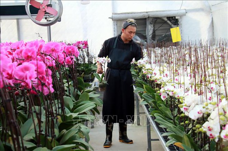 Kim ngạch xuất khẩu hoa vượt mốc 100 triệu USD- Ảnh 1.