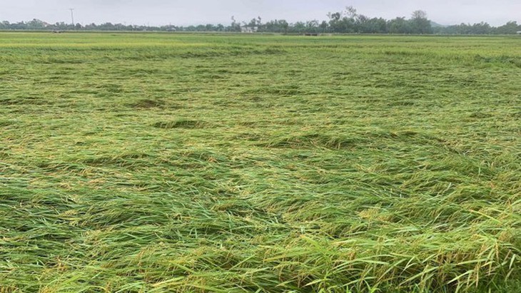 Khắc phục hậu quả lốc xoáy ở huyện miền núi Hà Tĩnh - Ảnh 1.