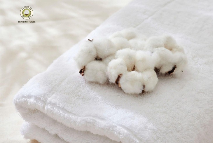 CEO Nguyễn Tự Hưng tiết lộ lý do làm nên thương hiệu Thái Bình Towel- Ảnh 3.