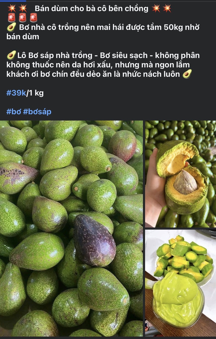 Loại quả được ví là ‘siêu thực phẩm’ vào mùa, chị em thi nhau đặt hàng chiêu đãi cả nhà- Ảnh 5.