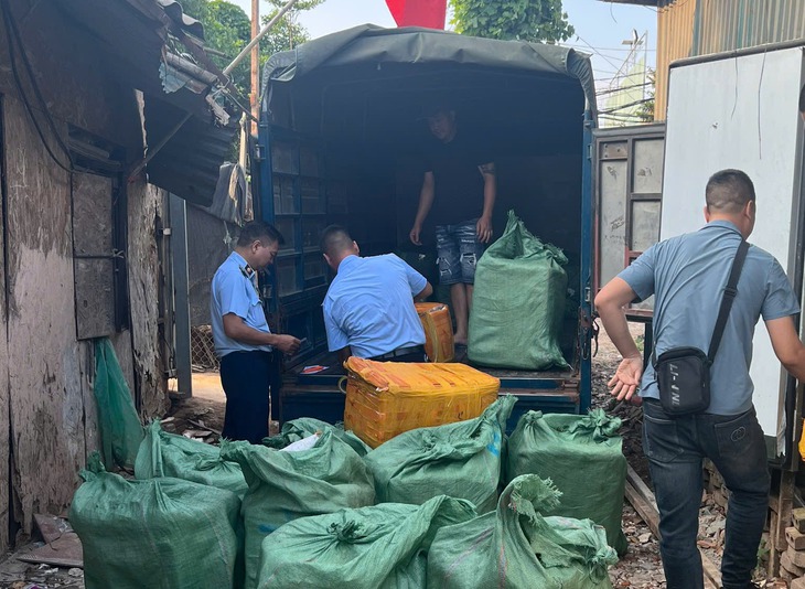 Tạm giữ 800kg trứng gà non, tràng gà đông lạnh không rõ nguồn gốc tại quận Hoàng Mai, Hà Nội- Ảnh 2.